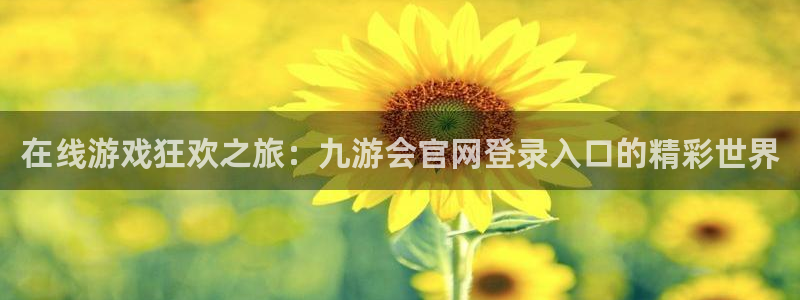 BB贝博艾弗森官网：在线游戏狂欢之旅：九游会官网登录入口的精彩世界