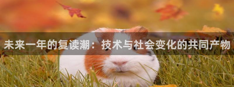BB贝博艾弗森赏金女王：未来一年的复读潮：技术与社会变化的共同产物