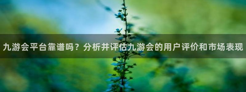 BB贝博艾弗森平台管网入口：九游会平台靠谱吗？分析并评估九游会的用户评价和市场表现