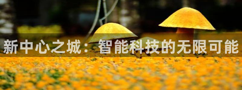 BB贝博艾弗森预测pc在线预测网址：新中心之城：智能科技的无限可能
