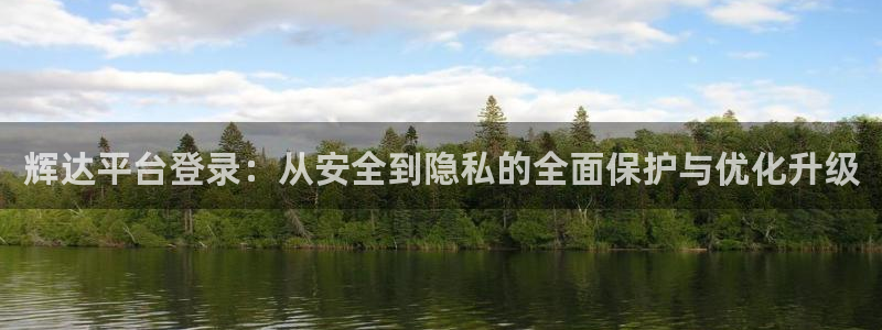 bb体育平台官网艾弗森：辉达平台登录：从安全到隐私的全面保护与优化升级