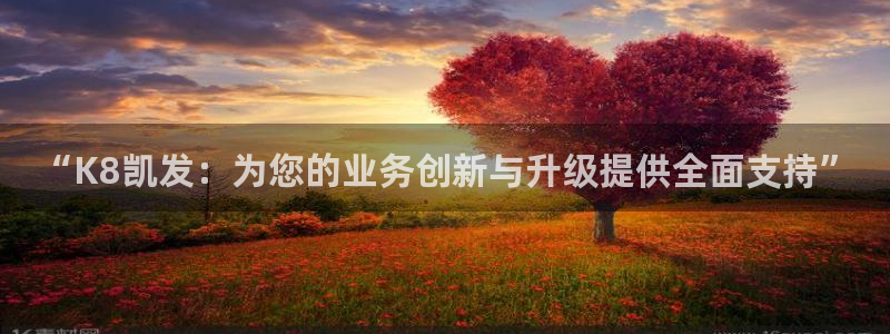 BB贝博艾弗森(com.youad.authst)：“K8凯发：为您的业务创新与升级提供全面支持”