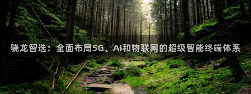 BB贝博艾弗森app入口：骁龙智选：全面布局5G、AI和物联网的超级智能终端体系