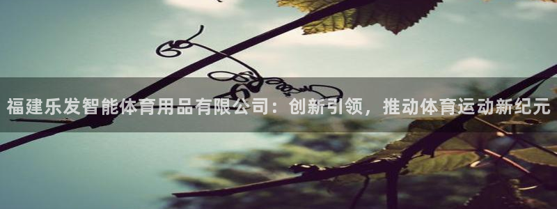 BB贝博艾弗森下载：福建乐发智能体育用品有限公司：创新引领，推动体育运动新纪元