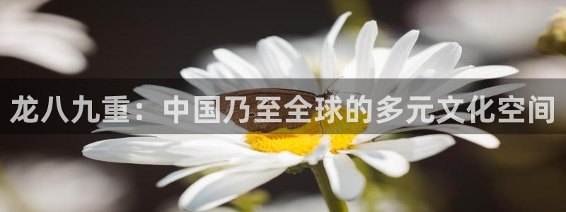 BB贝博艾弗森下载并安装：龙八九重：中国乃至全球的多元文化空间