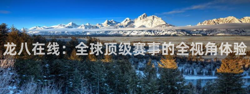 BB贝博艾弗森账号注册入口：龙八在线：全球顶级赛事的全视角体验
