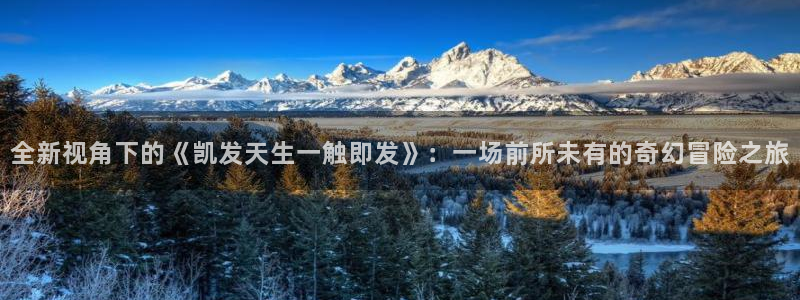 BB贝博艾弗森网站平台：全新视角下的《凯发天生一触即发》：一场前所未有的奇幻冒险之旅