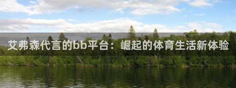 BB贝博艾弗森电子游戏：艾弗森代言的bb平台：崛起的体育生活新体验