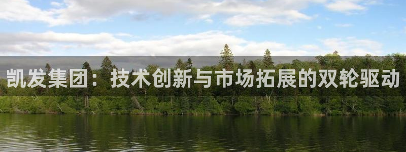 BB贝博艾弗森app官网下载苹果：凯发集团：技术创新与市场拓展的双轮驱动