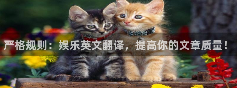 南宫BB贝博艾弗森官网版：严格规则：娱乐英文翻译，提高你的文章质量！
