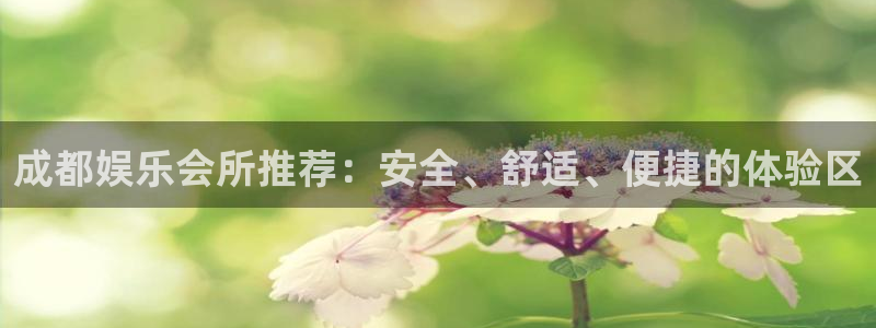 bb贝博艾弗森官网下载：成都娱乐会所推荐：安全、舒适、便捷的体验区