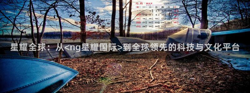 BB贝博艾弗森网站：星耀全球：从<ng星耀国际>到全球领先的科技与文化平台