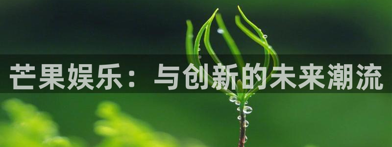 BB贝博艾弗森app下载安装：芒果娱乐：与创新的未来潮流