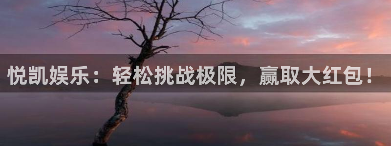 BB贝博艾弗森注册网站app：悦凯娱乐：轻松挑战极限，赢取大红包！