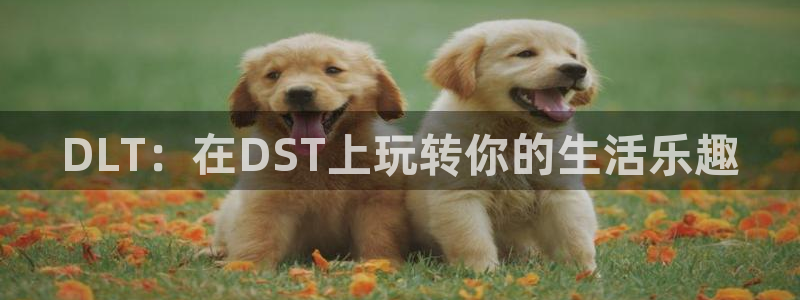 BB贝博艾弗森加拿大app预测：DLT：在DST上玩转你的生活乐趣