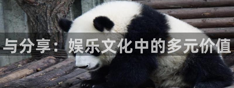 BB贝博艾弗森.ccmpc正版官网版下载：与分享：娱乐文化中的多元价值