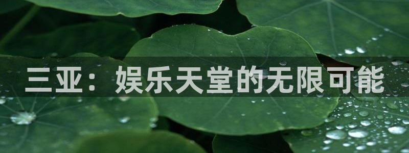 南宫BB贝博艾弗森官网版：三亚：娱乐天堂的无限可能