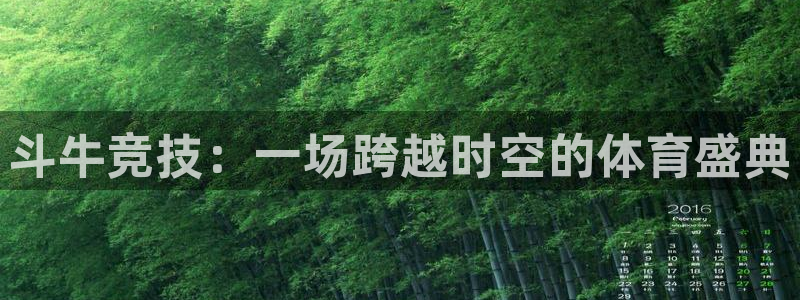 BB贝博艾弗森是啥：斗牛竞技：一场跨越时空的体育盛典