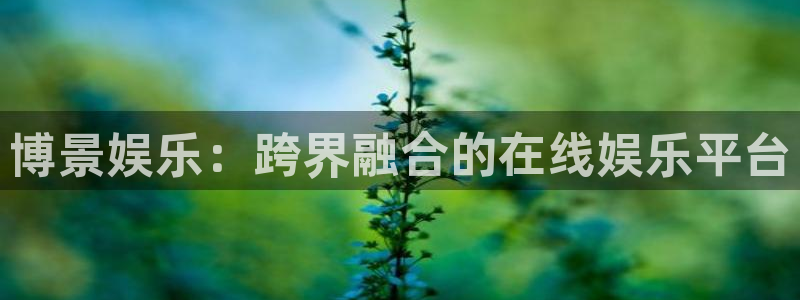 BB贝博艾弗森官方网站下载：博景娱乐：跨界融合的在线娱乐平台