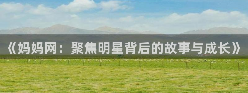 BB贝博艾弗森加拿大：《妈妈网：聚焦明星背后的故事与成长》