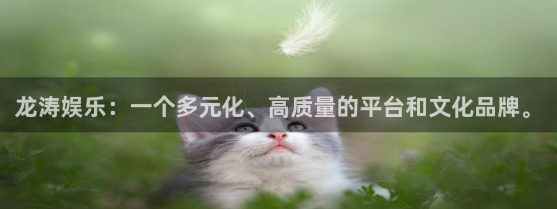 BB贝博艾弗森退款怎么退：龙涛娱乐：一个多元化、高质量的平台和文化品牌。