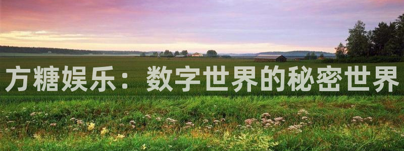 BB贝博艾弗森官网版下载：方糖娱乐：数字世界的秘密世界